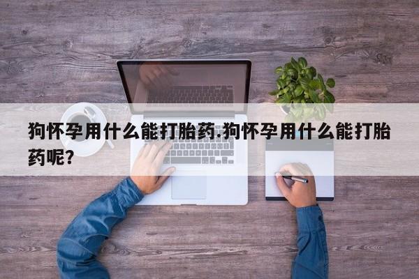 打胎药购买微信保密发货1-2天直邮到家狗怀孕用什么能打胎药.狗怀孕用什么能打胎药呢？