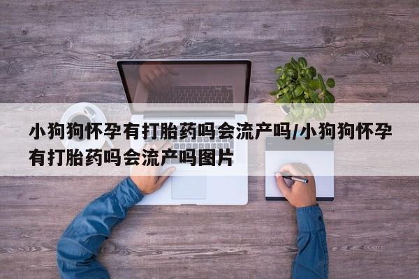打胎药购买微信保密发货1-2天直邮到家小狗狗怀孕有打胎药吗会流产吗/小狗狗怀孕有打胎药吗会流产吗图片