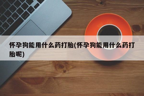 打胎药购买微信保密发货1-2天直邮到家怀孕狗能用什么药打胎(怀孕狗能用什么药打胎呢)